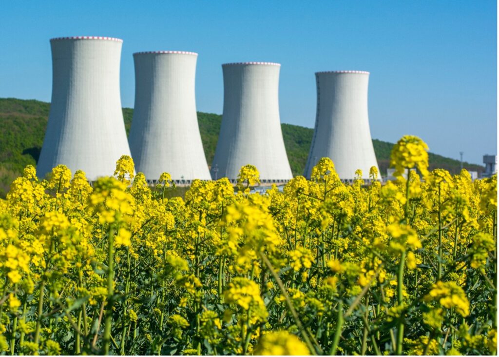 Åker med raps, med atomkraftverk i bakgrunnen.