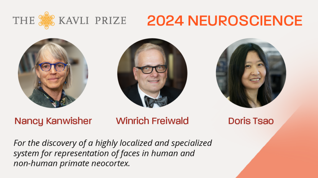 En illustrasjon. Det står "The kavli prize 2024 neuroscience", fulgt av tre portretter, to kvinner og en mann. Deretter "Nancy Kanwisher Winrich Freiwald Doris Tsao. For the discovery of a highly localized and specialized system for representation of faces in human and non-human primate neocortex."